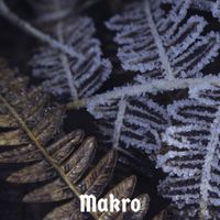 vandusengrafix Makro
